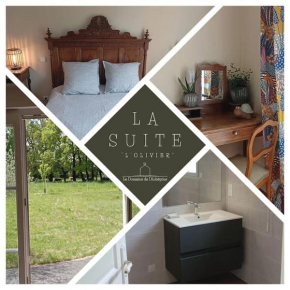 Location Suite de L'Olivier